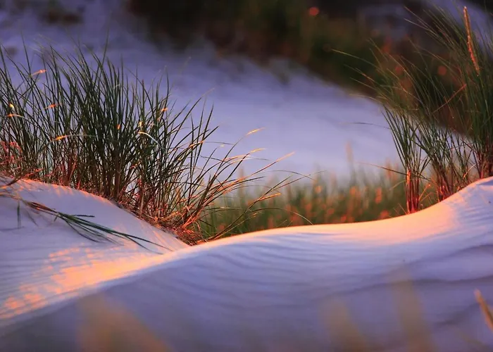 Retrodom Retowo (Pomerania)