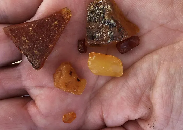 Retrodom Dom wakacyjny Retowo (Pomerania)